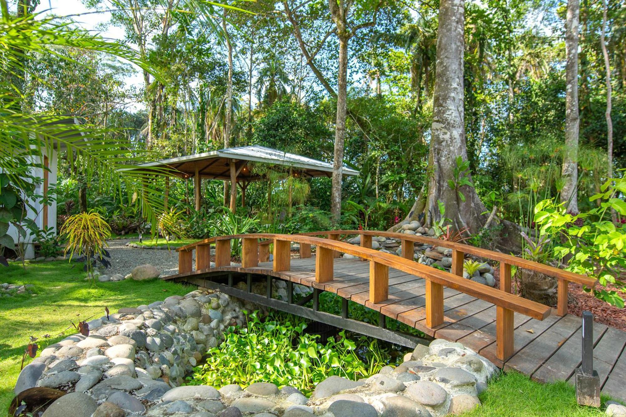 Dragonfly Beachfront Villas-Adult Only Punta Uva Exterior photo