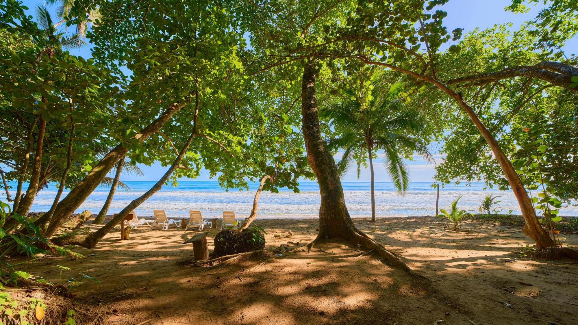 Dragonfly Beachfront Villas-Adult Only Punta Uva Exterior photo