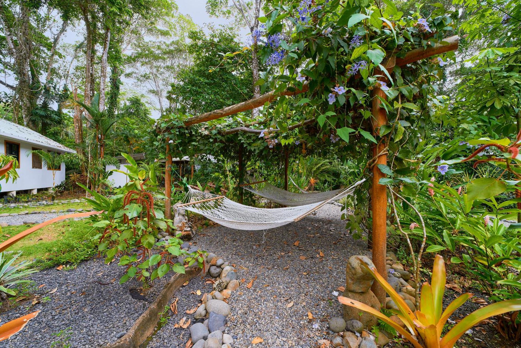 Dragonfly Beachfront Villas-Adult Only Punta Uva Exterior photo